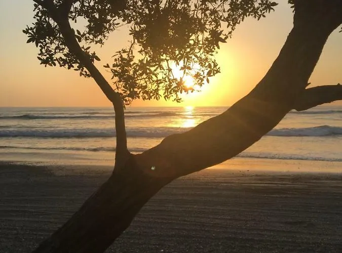 Yoga Salt Life Lodge