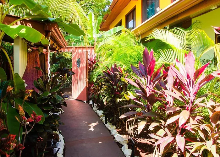Yoga Salt Life Lodge Samara