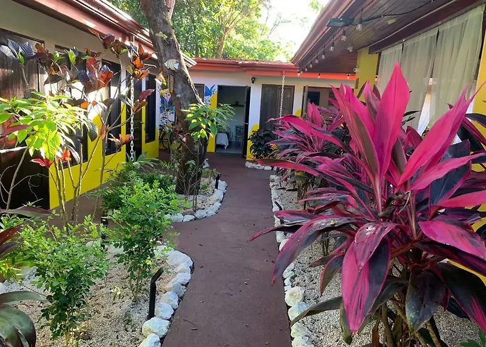 Yoga Salt Life Lodge